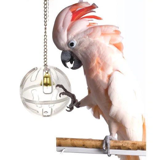 Bird Foraging Ball Food Container Toy