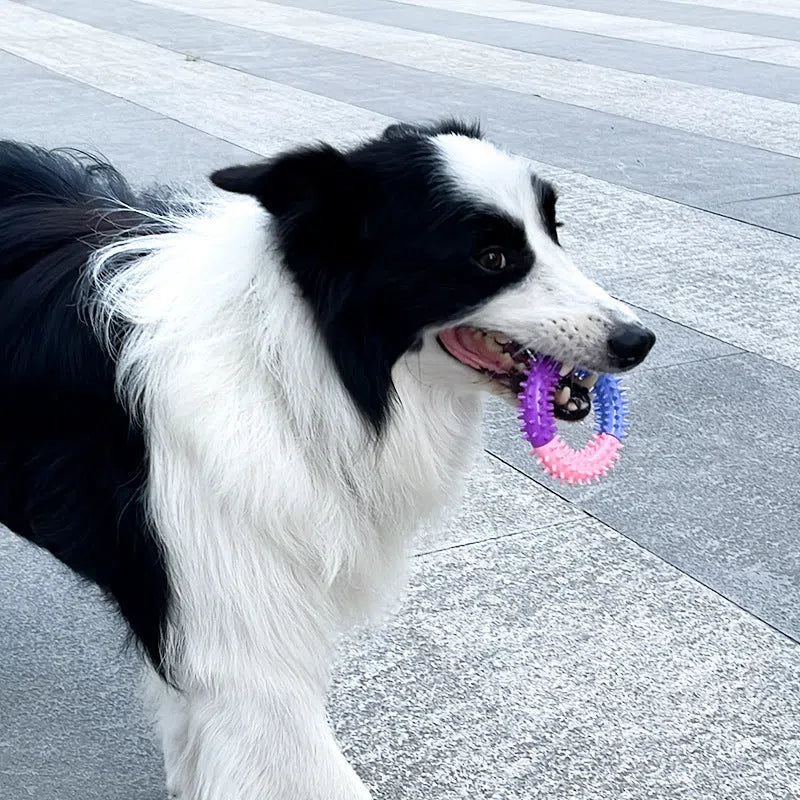 TPR Pet Toy Three-color Piercing Ring Dog Molar
